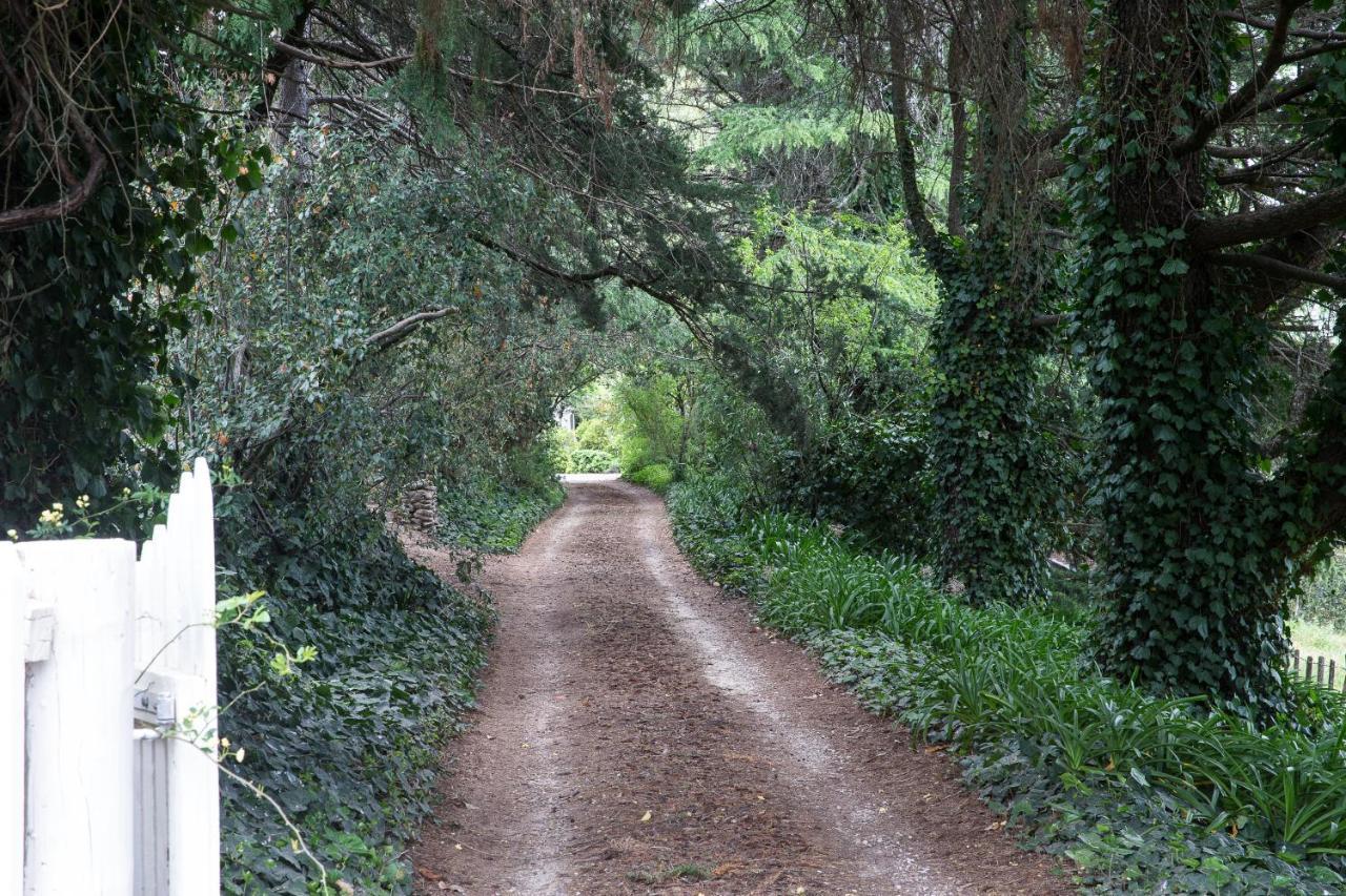شقة هافلوك الشمالية  في The Leafy Flat المظهر الخارجي الصورة